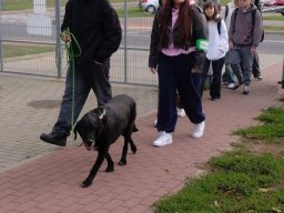 Z wizytą w Schronisku