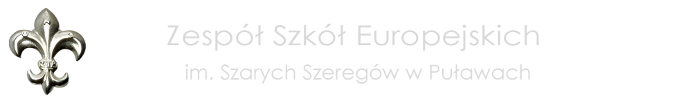 Zespół Szkół Europejskich w Puławach