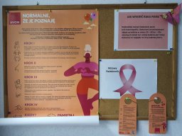 Profilaktyka raka