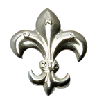 Logo ZSE